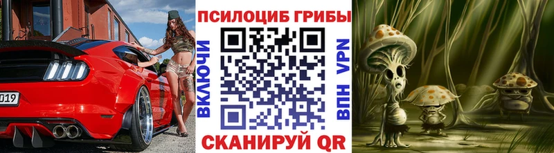 Купить где  Шагонар  Галлюциногенные грибы GOLDEN TEACHER 